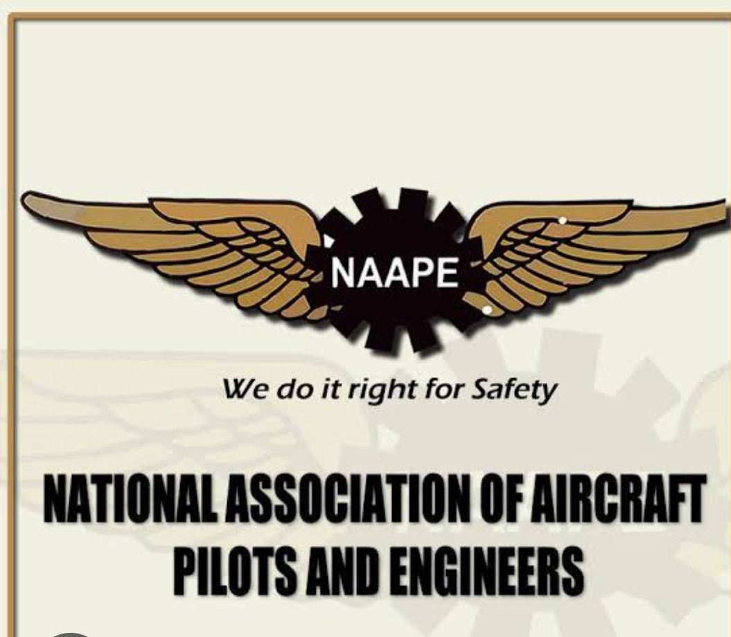 NAAPE Partners First Standard Insurance Brokers for Loss of Licence ...